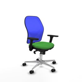 PIQUERAS Y CRESPO Silla de oficina Jorquera con mecanismo Sincro, Tela Verde y Malla Azul