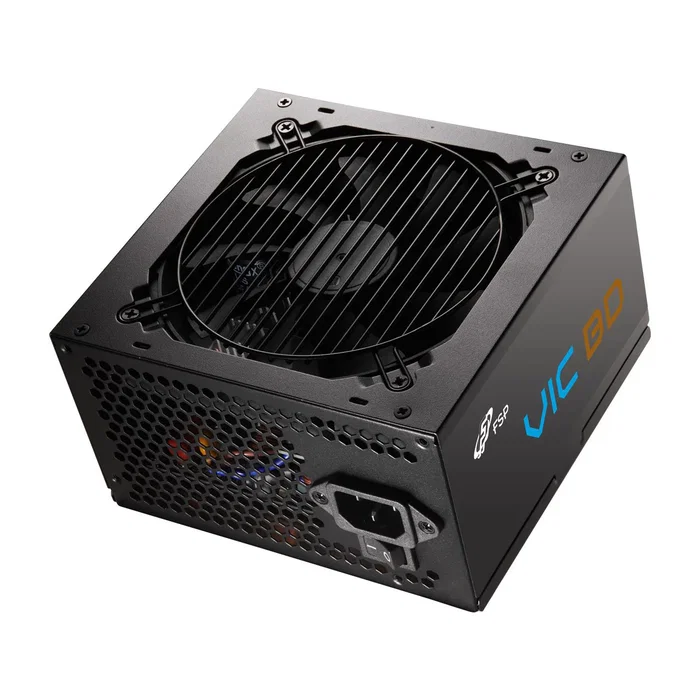FSP VIC BD 550W 20+4 pin ATX Negro