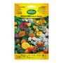 Agreen Semillas 300595bolsh Mezcla de Flores Rocallas y Borduras, Sobres para Plantar Tapiz de Colores Vivos de Primavera a Verano