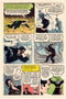 El Que Roba A Los Muertos y Otras Historias de Lou Cameron (Biblioteca de Comics de Terror de Los Años 50 Vol 8)