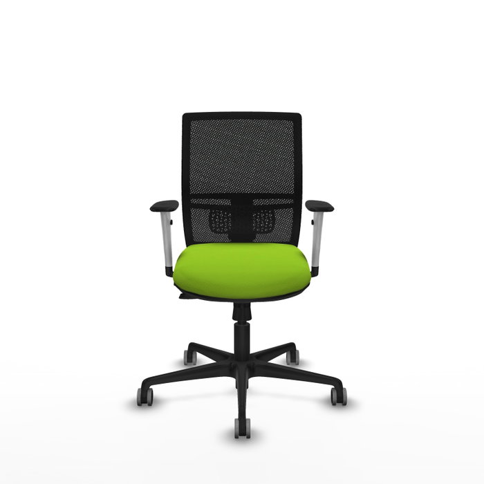 PIQUERAS Y CRESPO Silla de oficina Yunquera con mecanismo Sincro/Traslack, Pistacho y Negro PIQUERAS Y CRESPO Silla de oficina Yunquera con mecanismo Sincro/Traslack, Pistacho y Negro