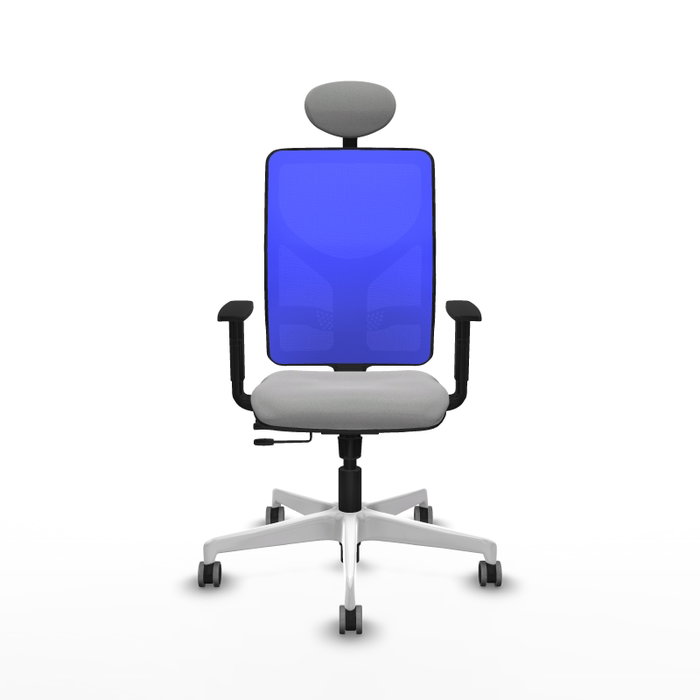 PIQUERAS Y CRESPO Silla de oficina Motilla con mecanismo Sincro/Traslack, Gris claro y Azul