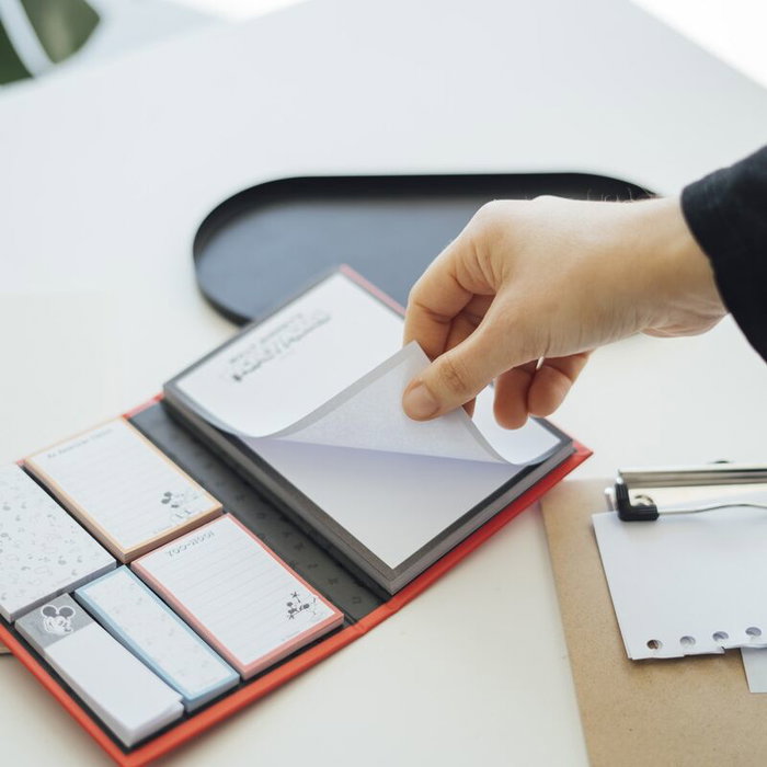 Erik Cuaderno Notas Adhesivas Mickey Disney A6 (11x15,5cm) con Bloc Notas y 5 Tipos Etiquetas