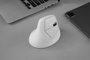 Keychron M5-A30 Ratón Vertical Inalámbrico Blanco