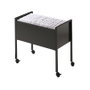 Durable Eco Hängemappenwagen 80 A4 negro
