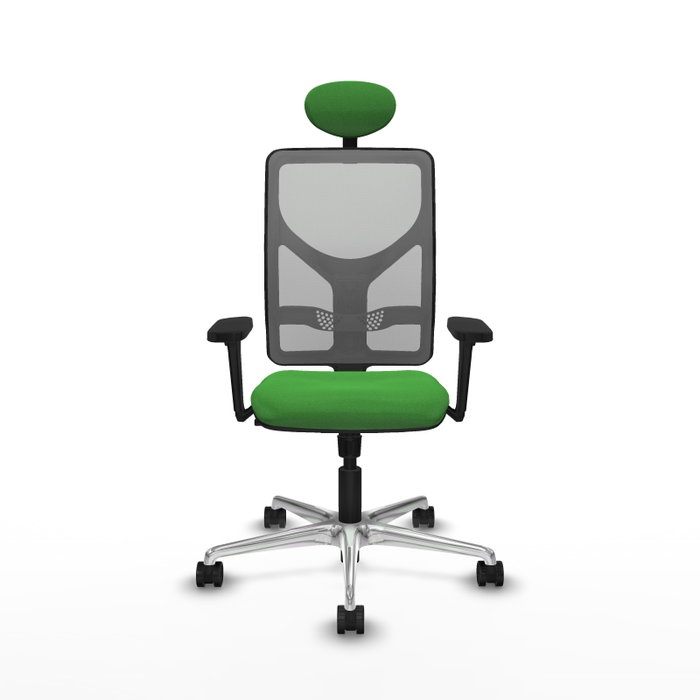 PIQUERAS Y CRESPO Silla de oficina Motilla con mecanismo Sincro, Verde y Gris