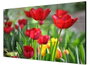 Hikvision DS-D2055UL-1B Monitor 55" Full HD LED para videowall perfil ultra fino 3.5mm 500cd 1200:1 HDMI DVI VGA DP USB VESA 24/7