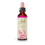 Bach Original Elm (Olmo) Nº11 20 ml