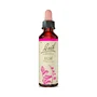Bach Original Elm 20 ml