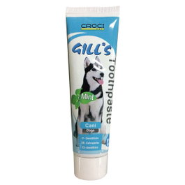 Croci Gills Pasta de Dientes Menta 100g