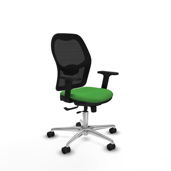 PIQUERAS Y CRESPO Silla de oficina Jorquera Verde con mecanismo Sincro/Traslack PIQUERAS Y CRESPO Silla de oficina Jorquera Verde con mecanismo Sincro/Traslack