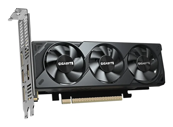 Gigabyte GeForce RTX 5060 OC Low Profile 8G - Tarjeta Gráfica NVIDIA, 8GB GDDR7 128-bit, PCIe 5.0, 2512 MHz, 3x DisplayPort, Arquitectura Blackwell