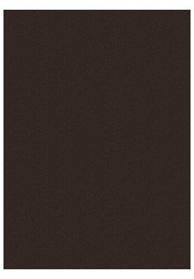 Fate/Strange Fake 05