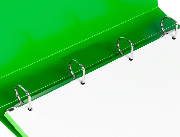 Liderpapel Carpeta 4 Anillas 25 mm Polipropileno DIN A4 Verde Translúcido 43433