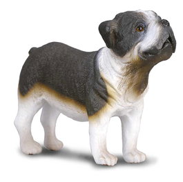 Collecta 88179 Bulldog -M- Réplica Pintada a Mano de Alta Calidad para Niños +3 Años