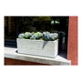 EDA PLASTIQUE Balconniere Graphit Up Maceta 25 L 59 x 19.5 x 22.8 cm Blanco Encalado
