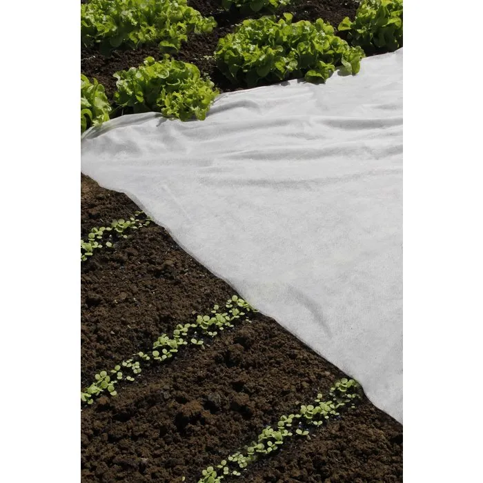Nature Forraje de lana NAT8711338320303, Blanco, 17 g/m², Rollo 2 x 5 metros