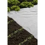 Nature Forraje de lana NAT8711338320303, Blanco, 17 g/m², Rollo 2 x 5 metros