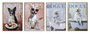 DKD Home Decor Cuadro Lienzo MDF 24x2x34 Perro Surtido de 4