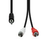 ProXtend Cable Mini-Jack 3-Pin a 2 RCA Macho-Macho Negro 2 Metros