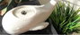 DKD Home Decor Fuente de Arenisca LED Ballena Blanco