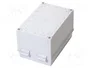 FIBOX CAB PC 203018 G Carcasa de pared de policarbonato gris