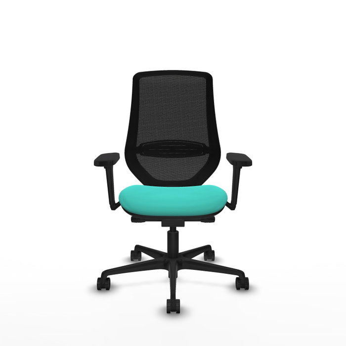 PIQUERAS Y CRESPO Silla de oficina Mardos con mecanismo Sincro/Traslack Turquesa y Negro PIQUERAS Y CRESPO Silla de oficina Mardos con mecanismo Sincro/Traslack Turquesa y Negro