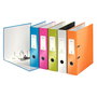LEITZ 1693 Etiquetas para Archivador de Anillas 46,0 x 111,0 mm Gris