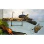 ZooMed Isla Turtle Dock Grande Plataforma Flotante para Tortugas Acuáticas