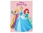 Manta Safta Disney Princess 1000x1400 mm