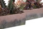 DKD Home Decor Planta Cactus Surtida PP EVA 19x9x22 cm