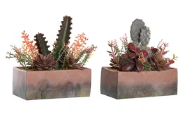 DKD Home Decor Planta Cactus Surtida PP EVA 19x9x22 cm