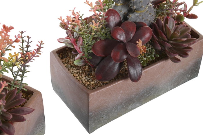 DKD Home Decor Planta Cactus Surtida PP EVA 19x9x22 cm