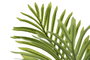 DKD Home Decor Planta Areca Verde con Pie de Cemento 80x80x169 cm