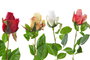 DKD Home Decor Flores de Poliéster Surtido de 4 Colores 15x15x45 cm