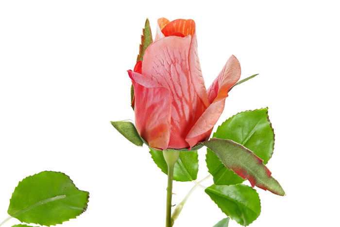 DKD Home Decor Flores de Poliéster Surtido de 4 Colores 15x15x45 cm DKD Home Decor Flores de Poliéster Surtido de 4 Colores 15x15x45 cm