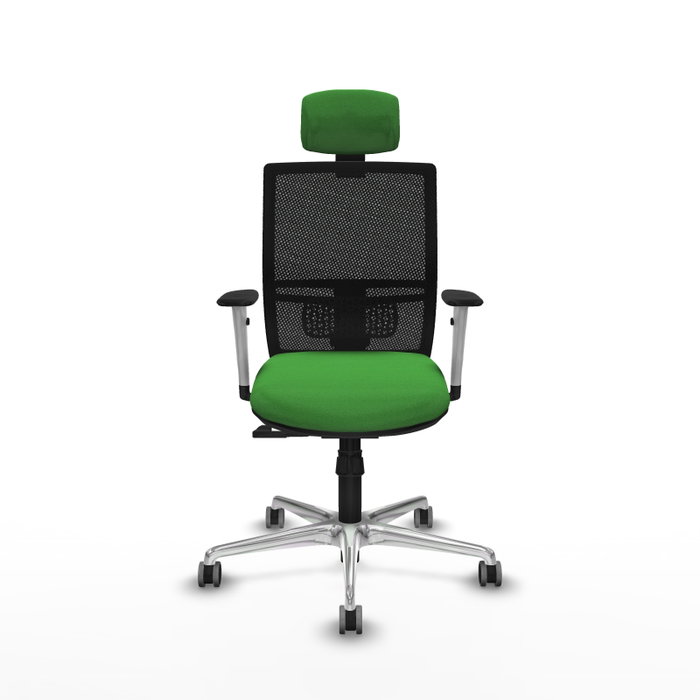 PIQUERAS Y CRESPO Silla de oficina Yunquera con mecanismo Sincro, Tela Verde y Malla Negra PIQUERAS Y CRESPO Silla de oficina Yunquera con mecanismo Sincro, Tela Verde y Malla Negra