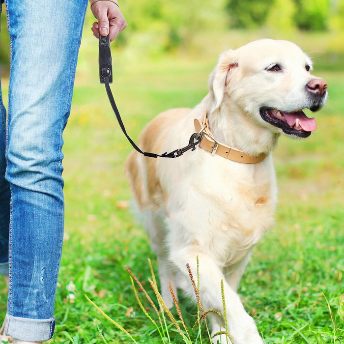 The Concept Factory Correa Retráctil para Perro 3M para Pasear
