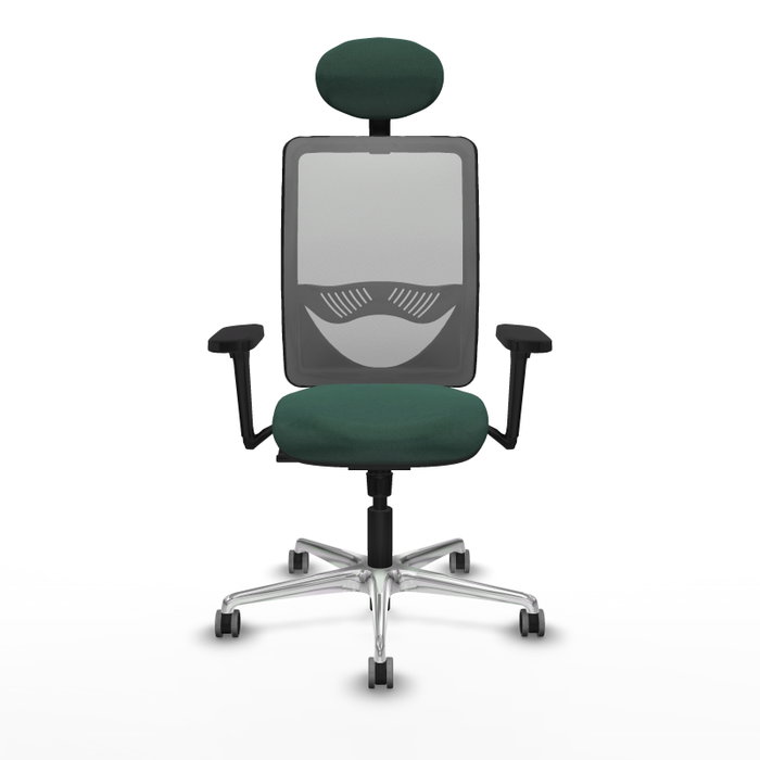 PIQUERAS Y CRESPO Silla de oficina Zulema con mecanismo Sincro, Verde botella y Gris PIQUERAS Y CRESPO Silla de oficina Zulema con mecanismo Sincro, Verde botella y Gris