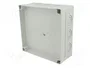 FIBOX MNX Carcasa Universal Gris 180x180x75mm