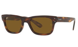 Ray Ban RB2283-954-33-55 Gafas de sol Marrón