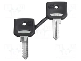 Schneider Electric Llave Harmony XB4 22mm (2 unidades)