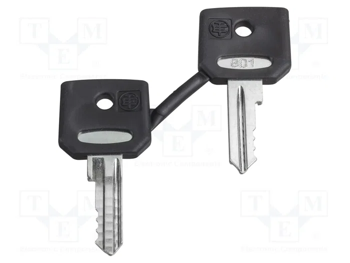 Schneider Electric Llave Harmony XB4 22mm (2 unidades) Schneider Electric Llave Harmony XB4 22mm (2 unidades)