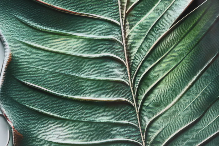 DKD Home Decor Cuadro de Palmera Pack de 2 (80x3,5x120 cm) DKD Home Decor Cuadro de Palmera Pack de 2 (80x3,5x120 cm)