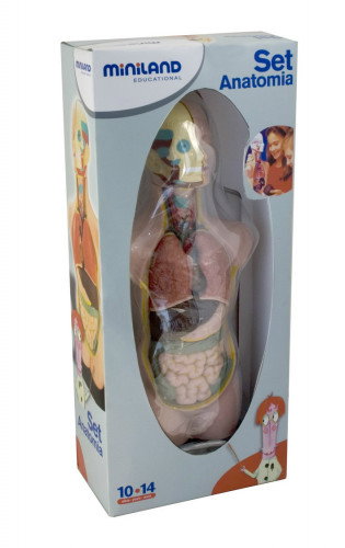 Miniland Juego de Anatomía Humana de 50 cm con 11 Piezas