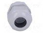 FIBOX Sello aislante PG16 gris