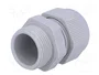 FIBOX Sello aislante PG16 gris