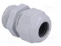 FIBOX Sello aislante PG16 gris
