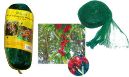 PLUVIA Malla Antipájaros 18x18 Verde 5,00 m x 10 m