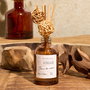Home Deco Factory Difusor de Ambiente con Varillas 50 ml Aromas Cocooning - Ámbar, Sándalo o Algodón